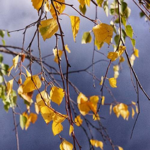 Photo #12676584