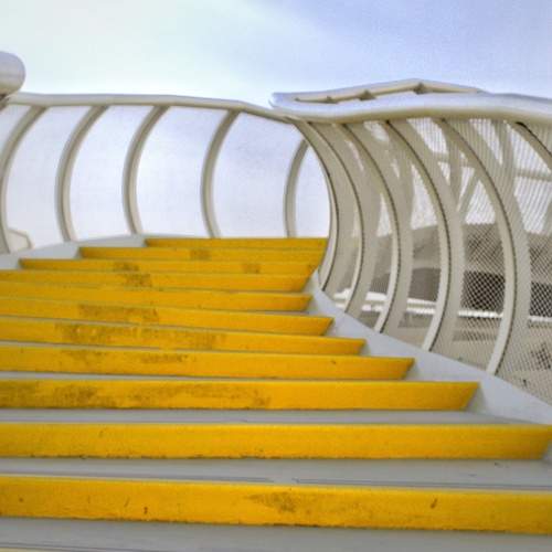 Photo #12676682