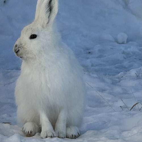 Photo #12676899