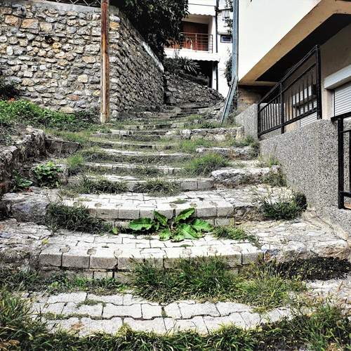 Photo #12676958