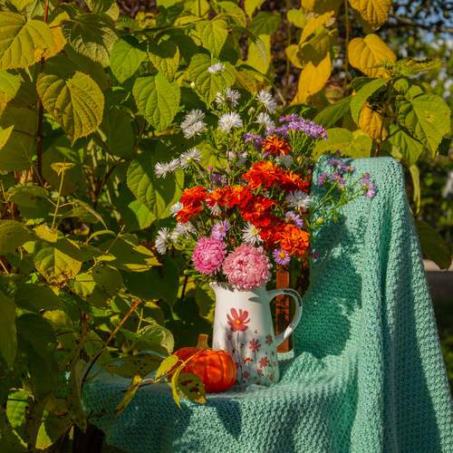 Photo #12677153