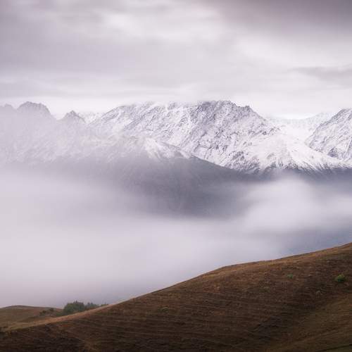 Photo #12677161