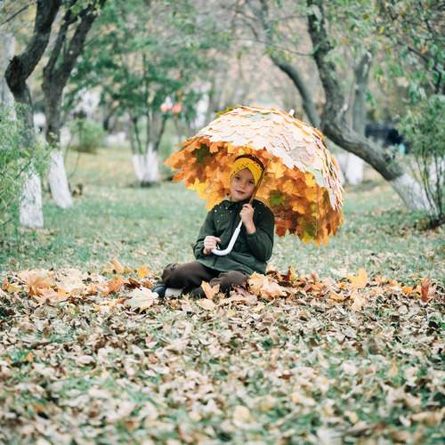 Photo #12677539