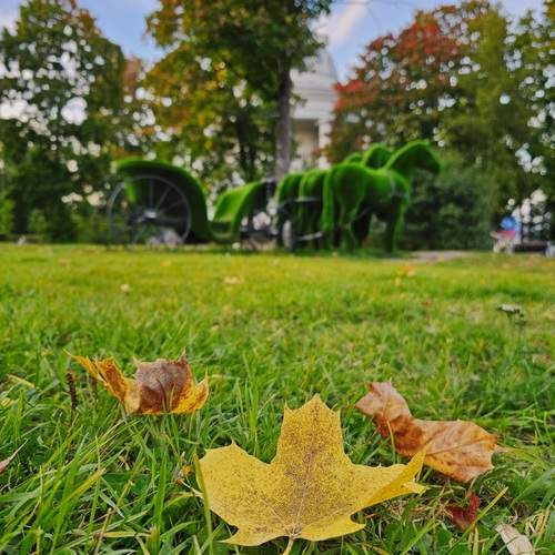 Photo #12677805