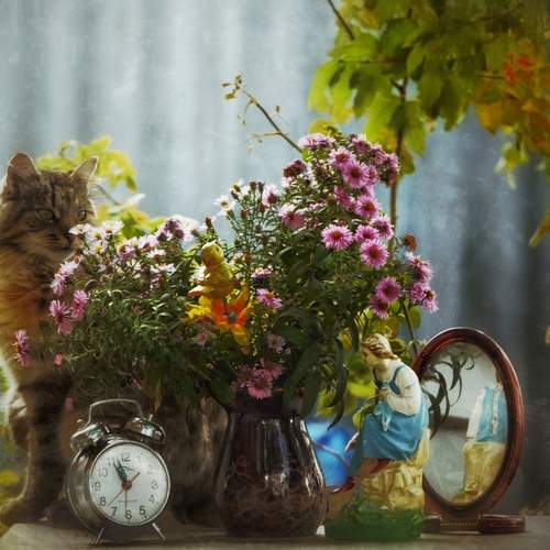 Photo #12677904