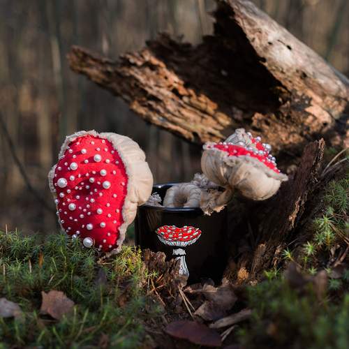 Photo #12678118