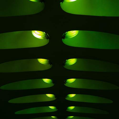 Photo #12678128