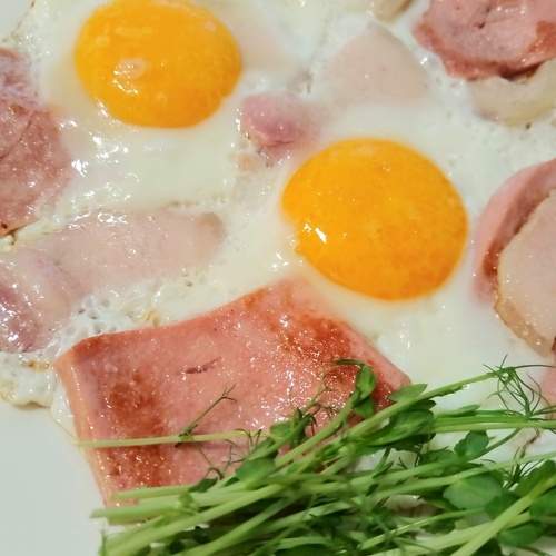 Photo #12678448