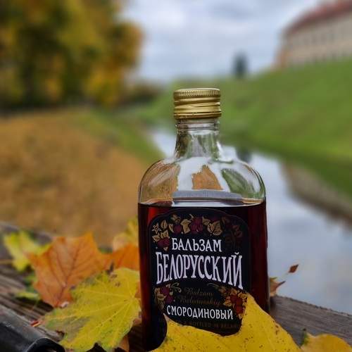 Photo #12678619