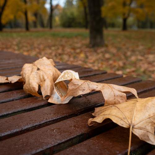 Photo #12678750