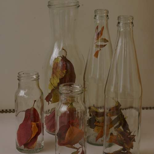 Photo #12678844