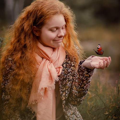 Photo #12678866