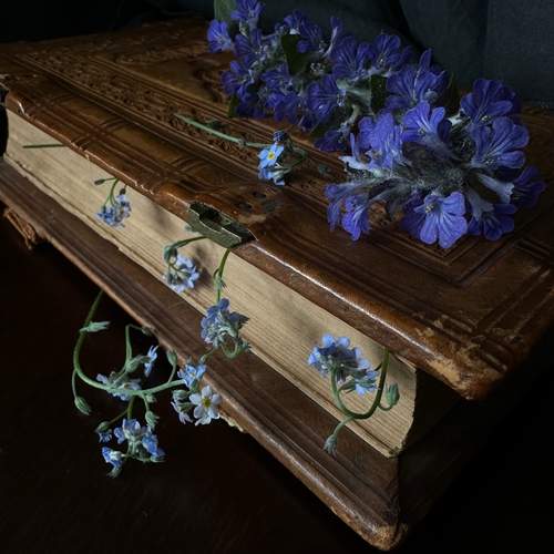 Photo #12678887