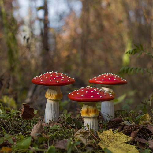 Photo #12679004