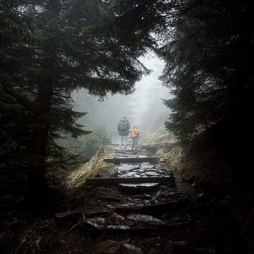 Fog Walkers