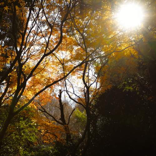 Photo #12679220