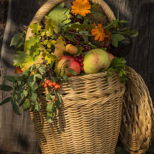 Photo #12679260