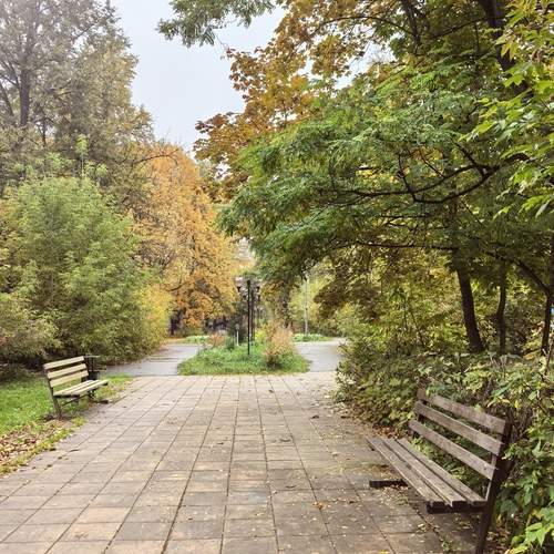 Photo #12679285