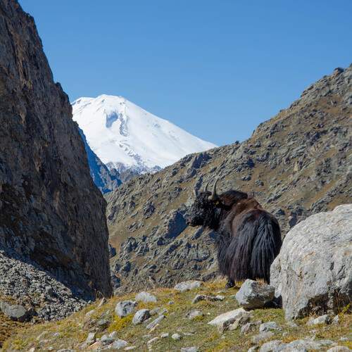 Photo #12679286