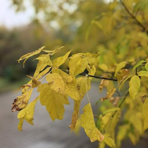 Photo #12679292