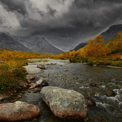 Photo #12679358