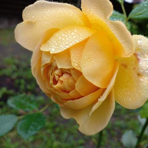 Photo #12679526