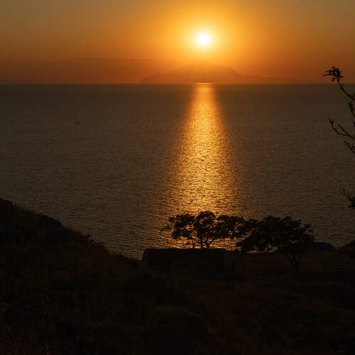 Photo #12679555