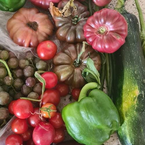 Mixed greens