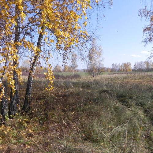 Photo #12680130