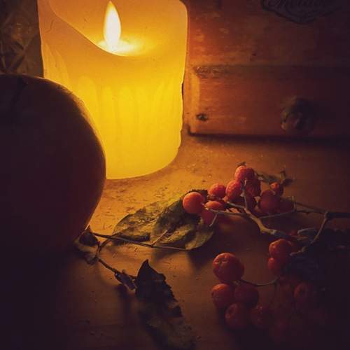 Photo #12680806