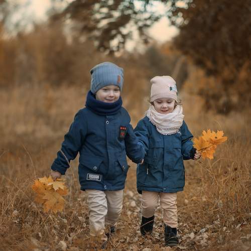 Photo #12681042