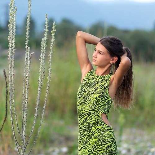 Photo #12681079