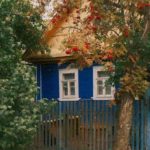 Осень в деревне.