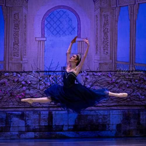 Photo #12681216