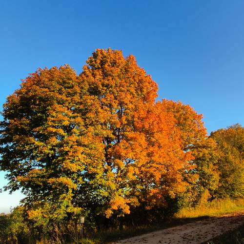 Photo #12681218