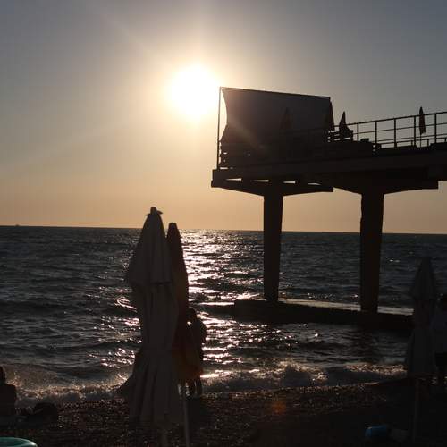 Photo #12681334