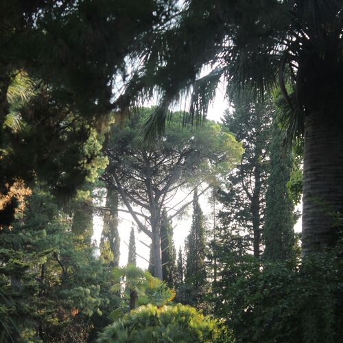 Photo #12681345