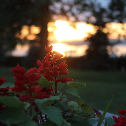 Photo #12681365