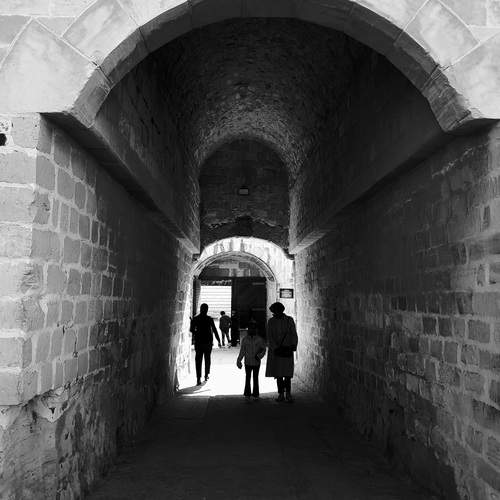 Photo #12681695