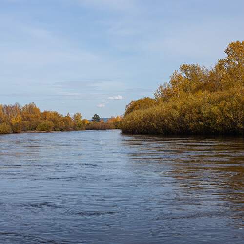 Осенняя река