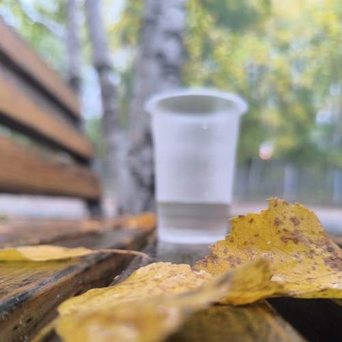 Photo #12681955