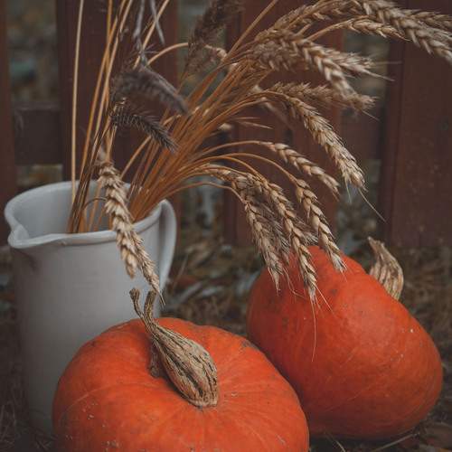 Photo #12682082