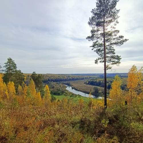 Photo #12682314
