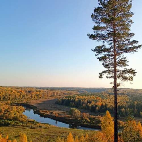 Photo #12682323