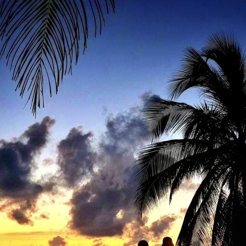 Photo #12682386