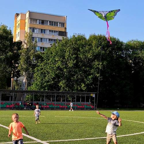 Photo #12682389