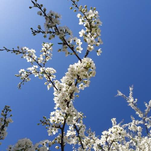 Photo #12682501