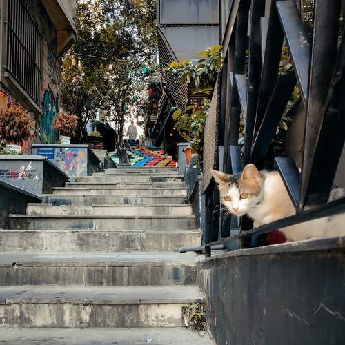 Photo #12682595