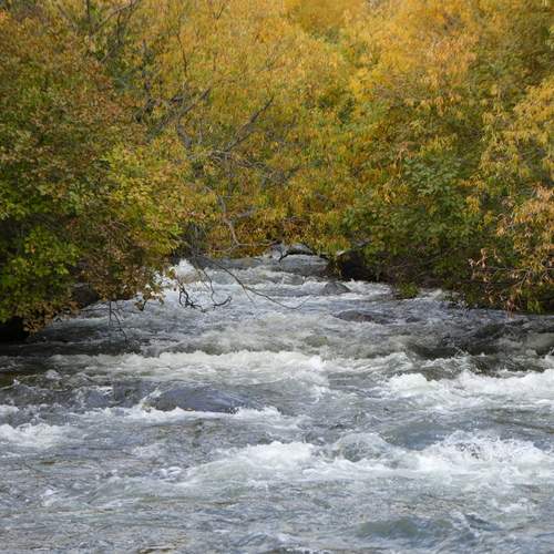 Photo #12682613