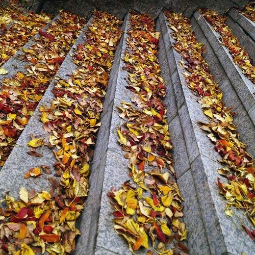 Photo #12682806